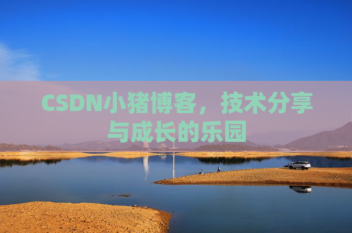 CSDN小猪博客，技术分享与成长的乐园